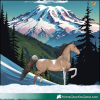 Horse Color:Amber Champagne Tobiano 
