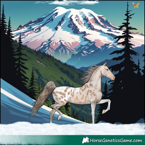 Horse Color:Amber Champagne Tobiano Blanket