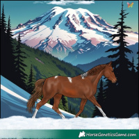 Horse Color:Chestnut Tobiano 