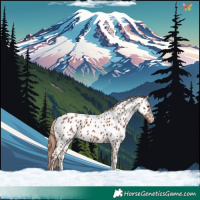 Horse Color:Chestnut Tobiano Near Leopard 