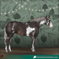 Horse Color:Silver Brown Sabino 