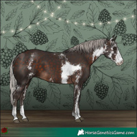 Horse Color:Silver Brown Sabino 