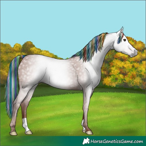 Horse Color:Gray Painted Chestnut 