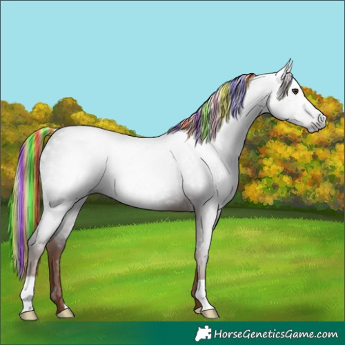 Horse Color:Gray Painted Liver Chestnut 