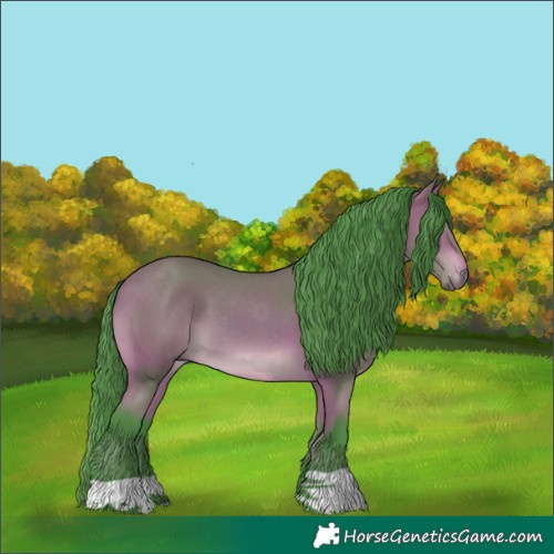 Horse Color:Watercolor Bay 