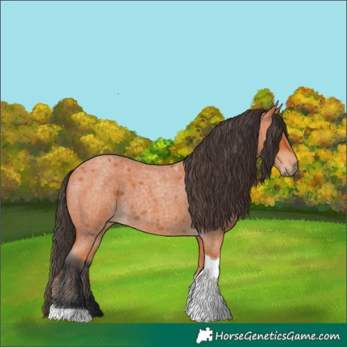 Horse Color:Bay Roan Tobiano 