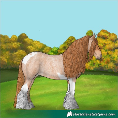 Horse Color:Red Roan Tobiano 