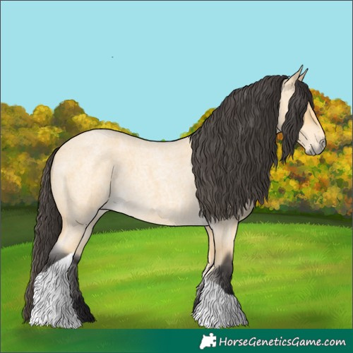 Horse Color:Buckskin Roan Tobiano