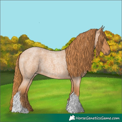 Horse Color:Red Roan Tobiano 
