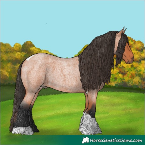 Horse Color:Bay Roan Tobiano 
