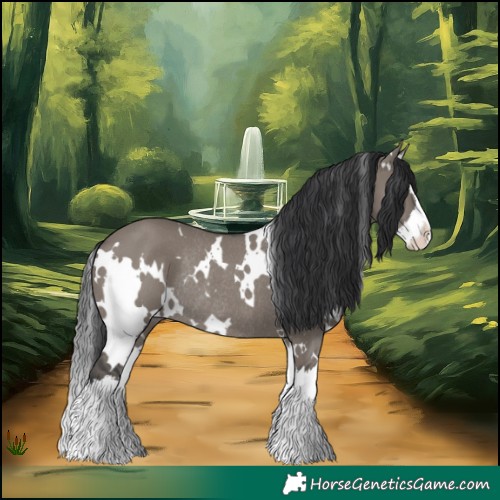 Horse Color:White Spotted Grullo Splash Rabicano 