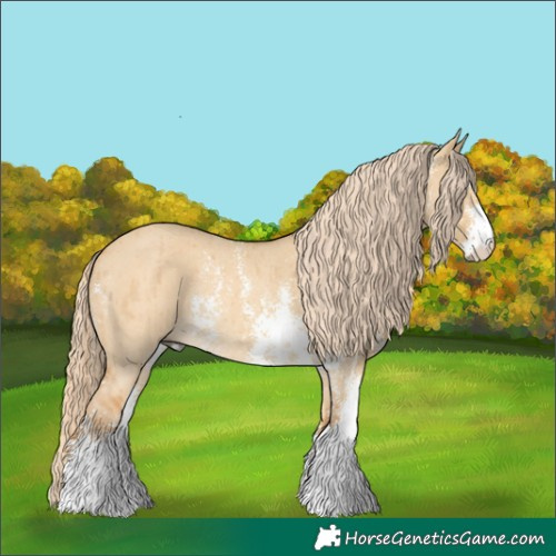 Horse Color:Palomino Dun Sabino Rabicano Brindle 