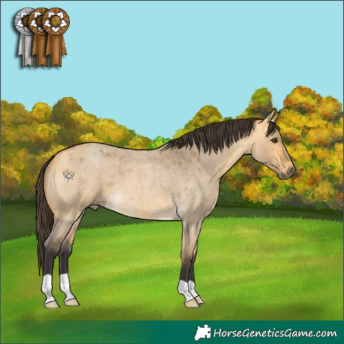 Horse Color:Buckskin Roan Dun 