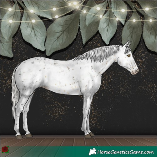 Horse Color:Silver Buckskin Sabino Rabicano 