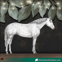 Horse Color:Silver Buckskin Sabino Rabicano