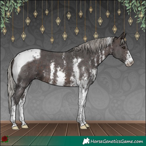 Horse Color:Silver Brown Sabino Tobiano 