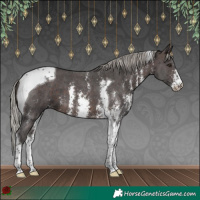 Horse Color:Silver Brown Sabino Tobiano 