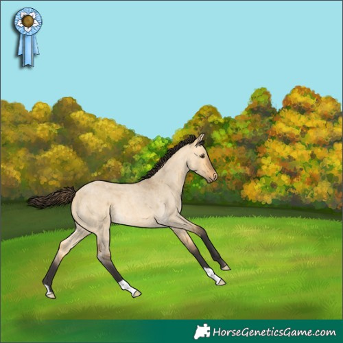 Horse Color:Buckskin Roan Dun 