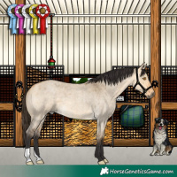 Horse Color:Buckskin Roan Dun 