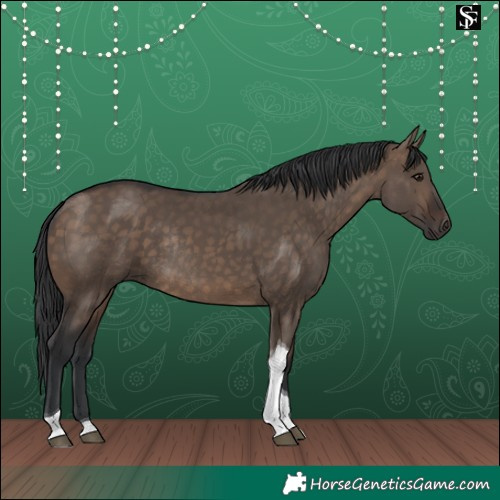 Horse Color:Brown Dun Tobiano Rabicano 