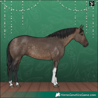 Horse Color:Brown Dun Tobiano Rabicano