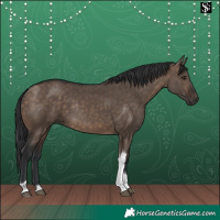 Horse Color:Brown Dun Tobiano Rabicano 