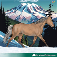 Horse Color:Silver Bay Dun Rabicano 