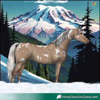 Horse Color:White Spotted Silver Grullo Rabicano
