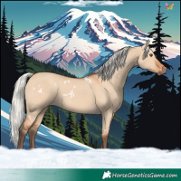 Horse Color:White Spotted Silver Bay Dun Rabicano 