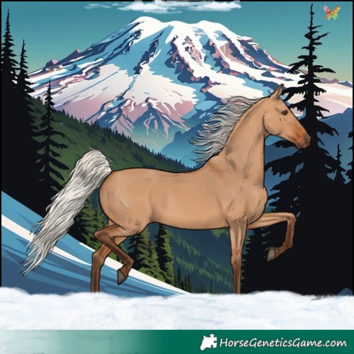 Horse Color:Silver Bay Dun Rabicano 