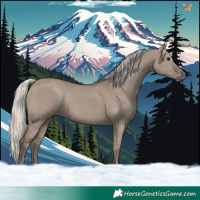 Horse Color:Silver Grullo Rabicano 