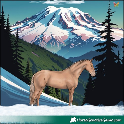 Horse Color:Gold Champagne Tobiano