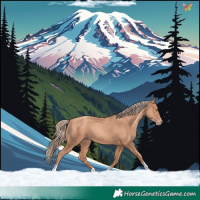 Horse Color:Gold Champagne Tobiano 