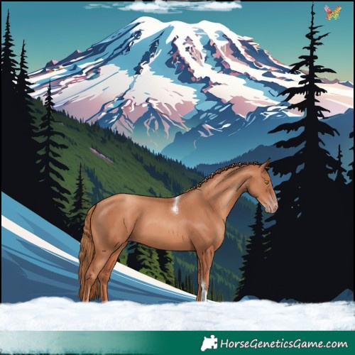 Horse Color:Gold Champagne Tobiano 