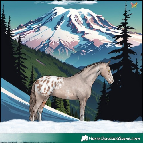 Horse Color:White Spotted Sable Champagne Blanket