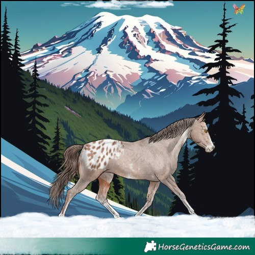 Horse Color:White Spotted Sable Champagne Appaloosa 