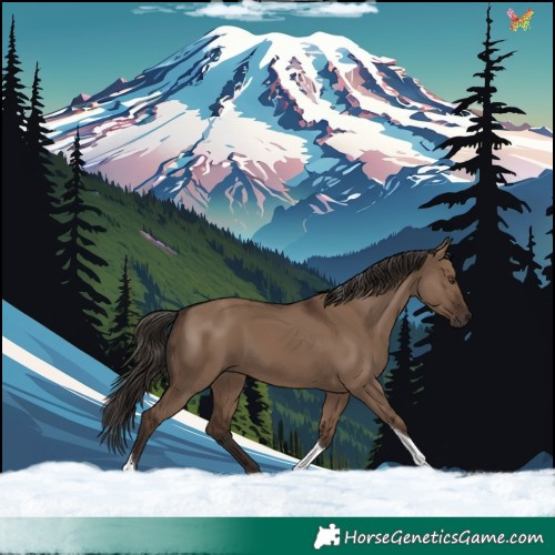 Horse Color:Liver Red Dun Tobiano 