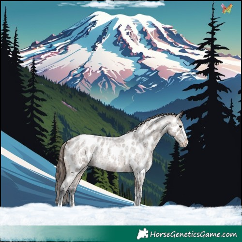Horse Color:White Spotted Brown Roan Dun Near Leopard