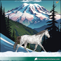 Horse Color:White Spotted Brown Roan Dun Appaloosa