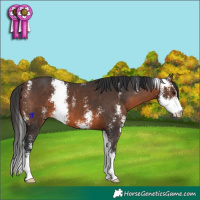 Horse Color:Brown Sabino