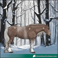 Horse Color:Silver Black Tobiano Rabicano 