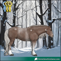 Horse Color:Silver Black Tobiano Rabicano 