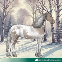 Horse Color:White Spotted Silver Grullo Tobiano Rabicano