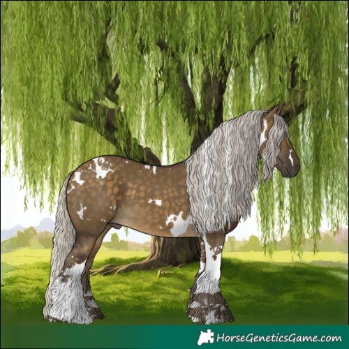 Horse Color:White Spotted Silver Buckskin Dun Tobiano 