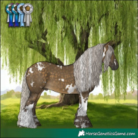 Horse Color:White Spotted Silver Buckskin Dun Tobiano