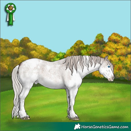 Horse Color:White Spotted Silver Grullo Roan Splash Varnish 