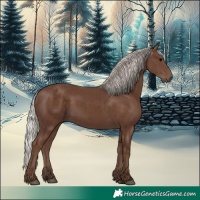 Horse Color:Silver Black