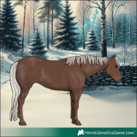 Horse Color:Silver Black 