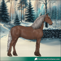 Horse Color:Silver Black