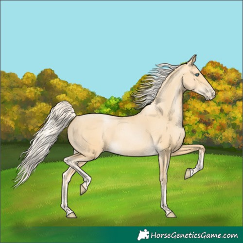 Horse Color:Palomino Pearl